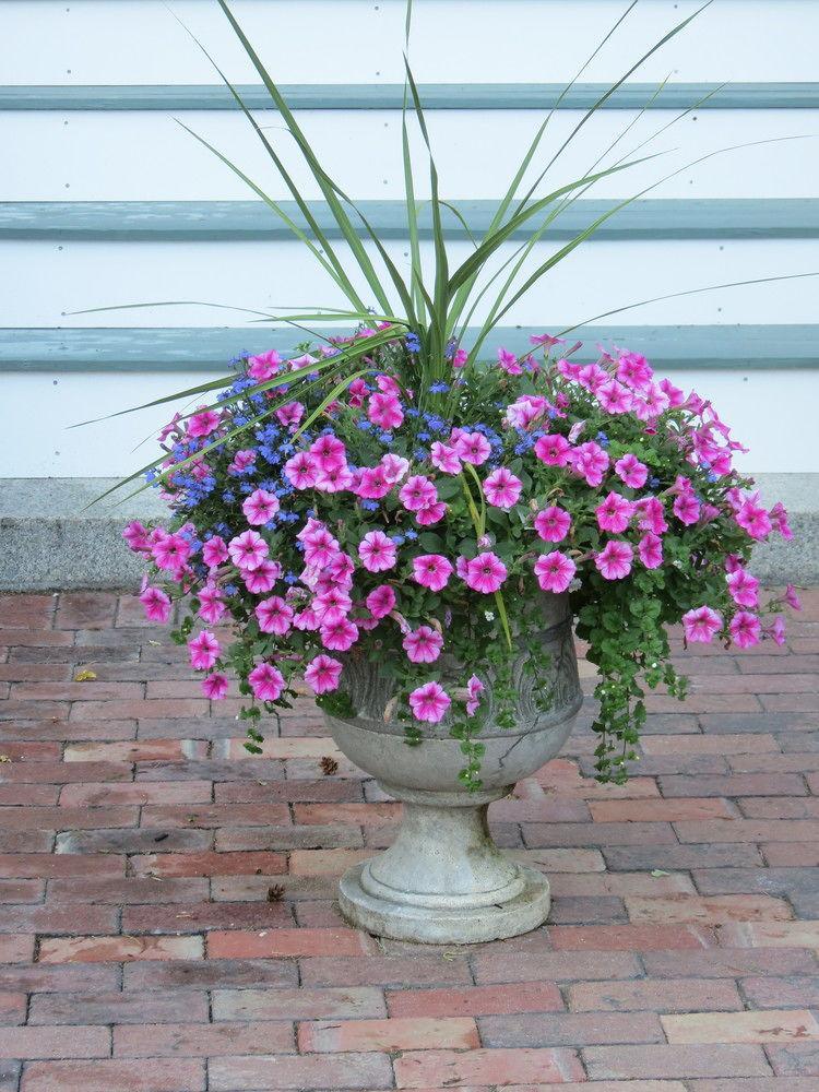 دوفر Silver Fountain Inn المظهر الخارجي الصورة